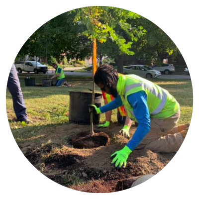 Read more about ways to give for Legacy Trees